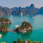 Hạ long tc