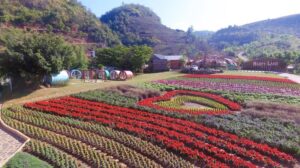 Vườn hoa nhiệt đới