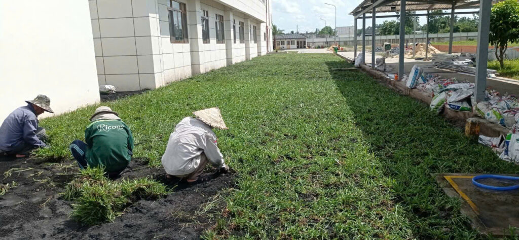 Z7190057970728 04d8f2c47cae03b495a3db6288fe83e6